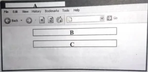 Class 10 Computer Applications – HTML-I Type B Application-Oriented Questions with Answers