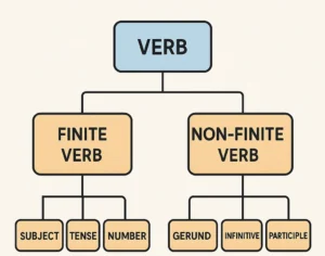 Finite and Non-Finite Verbs: Types, Rules, and Examples Explained in Detail 